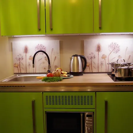 Tinylausitz Mit Kamin Und Sauna Steina (Saxony)