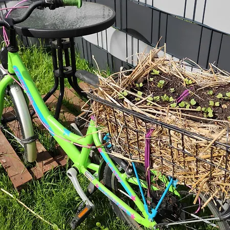 Tinylausitz Mit Kamin Und Sauna Holiday home